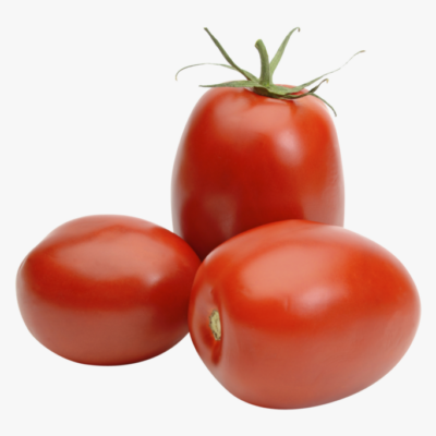 * Organski paradajz šljivar KG
