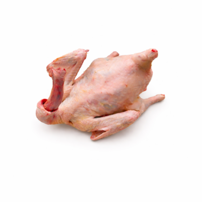 Sveze domace gušcije meso