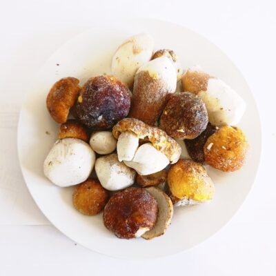 *Šumski vrganj 300g - zamrznuto